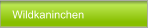 Wildkaninchen