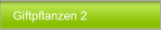Giftpflanzen 2